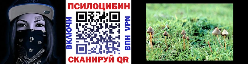 наркотики  Нижние Серги  Псилоцибиновые грибы Magic Shrooms 